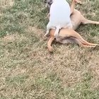 I am honestly not sure what 
