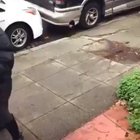 Woman asks musician for a set of jumper cables. This is what transpired.