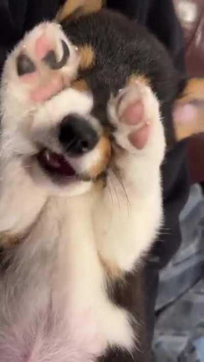 Teething is hard