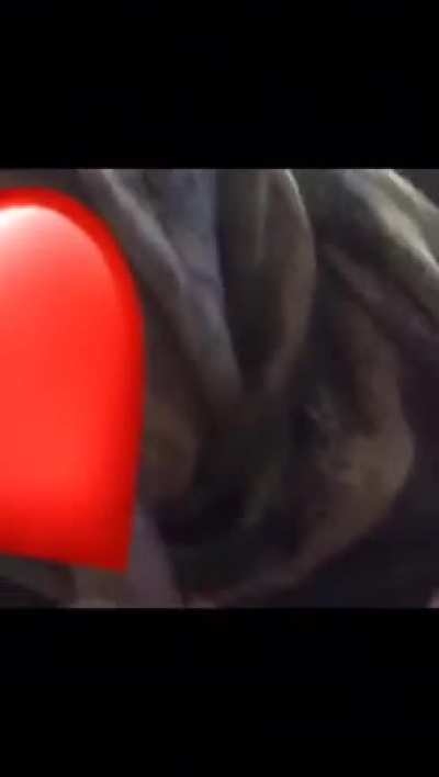 Hijabi giving head