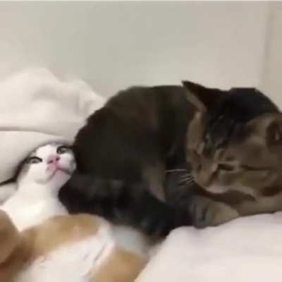 A double homicide
