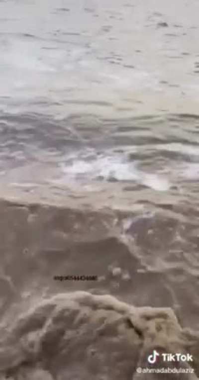 to capture a nice shot