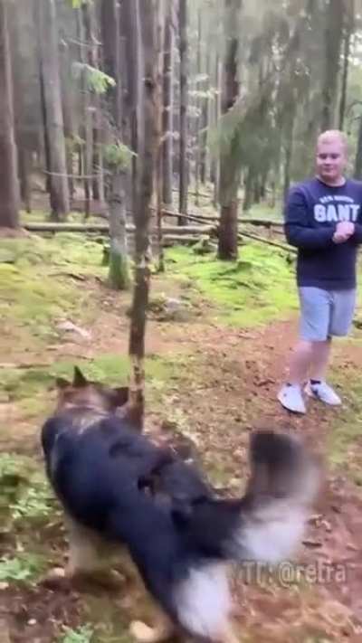 Big Stick Problems