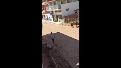 This is Minas Gerais