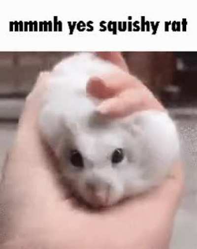 hh