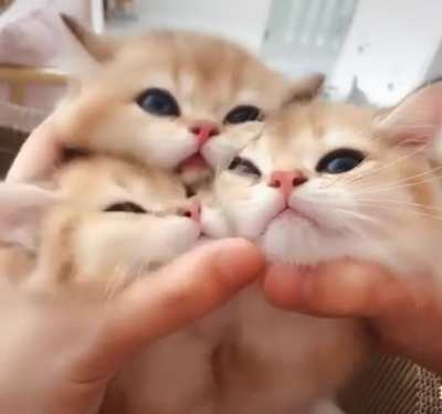 Love is... 💖💙