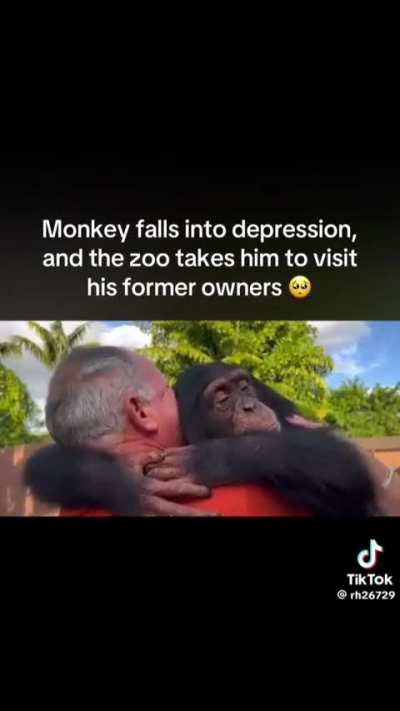 Destroyed me