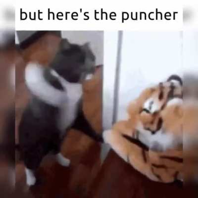 😺