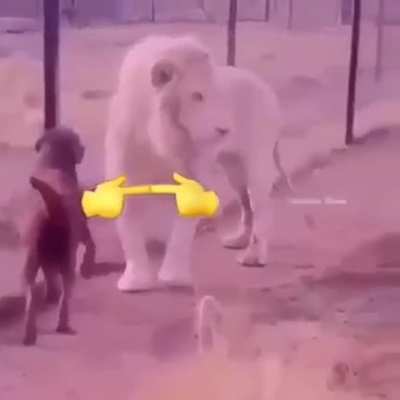👉👈