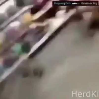 eu_nvr