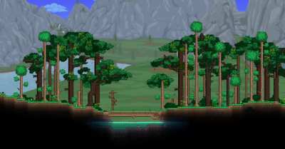 Better Forest