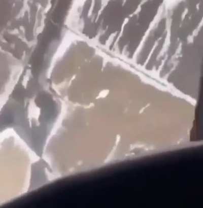 cursed_pilot