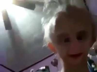 biscuit