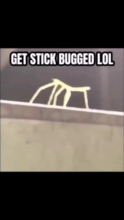 GET STICK BUGGED LOL!