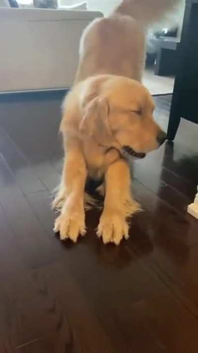Dog Makes The Cutest Noise When He Stretches