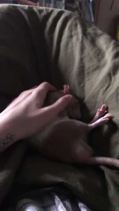 And He’s Out!