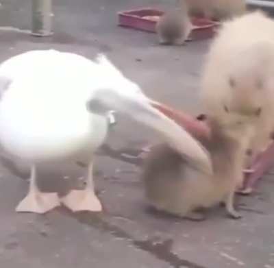 hmmm