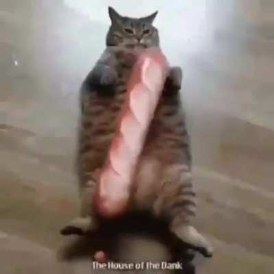 Bread