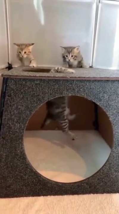 The rescue team came too late