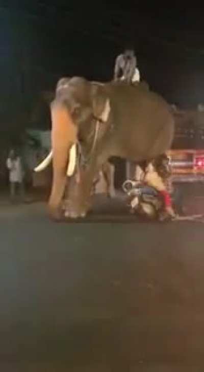 This stunt was performed under expert supervision. Do not try to imitate at your home.
