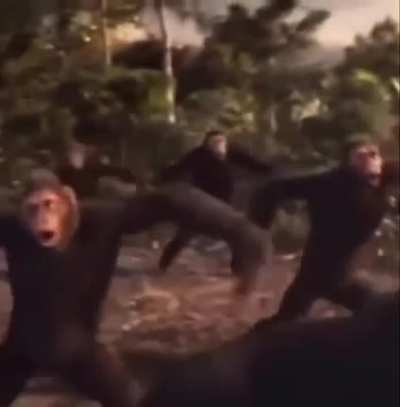 Monke