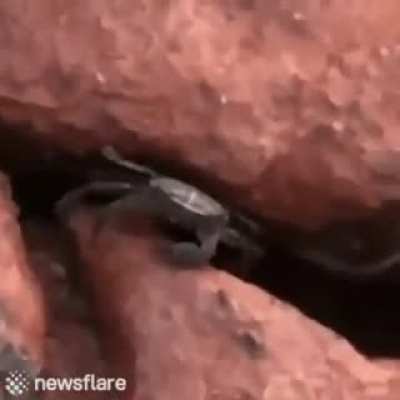 You dead bro