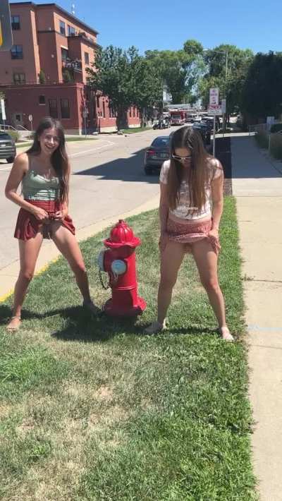 It's too hot out today! [GIF]