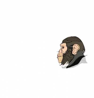 Monkydonian facts