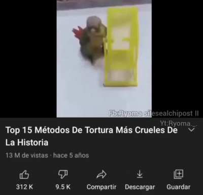 loro qliao