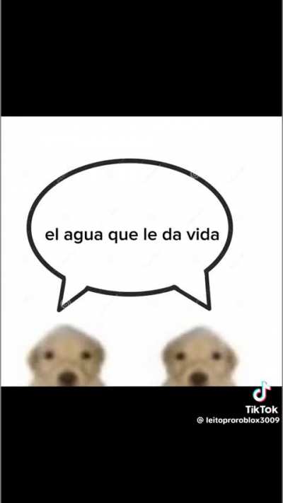Duende tu sabes