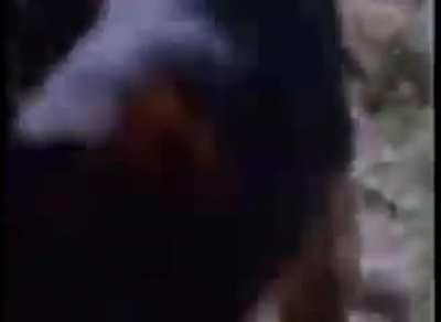 Heart pounding suspense