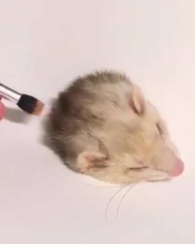 Realistic painting