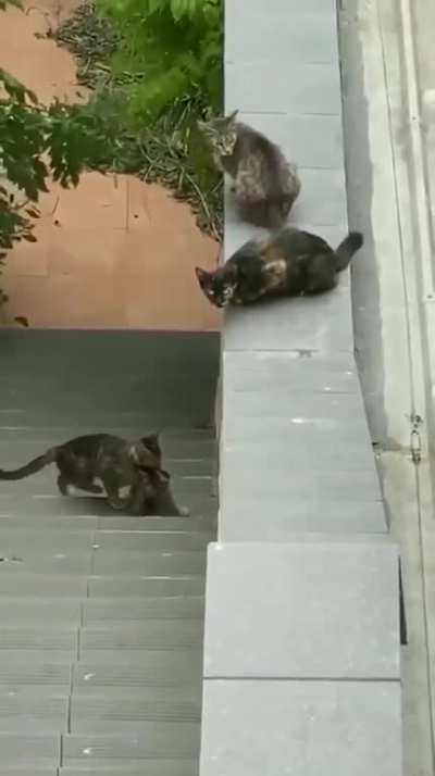Maybe Maybe Maybe