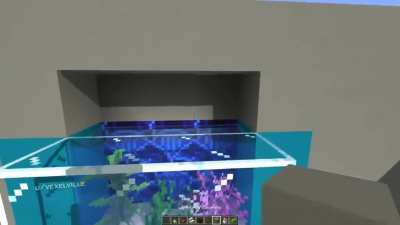 Build a Neat and Simple Aquarium Interior Design for Your House