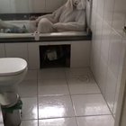 Quem é o purple guy perto desse Coelho mentecapto?