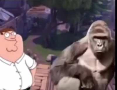 Loser Fortnite