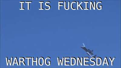 Warthog Wednesday