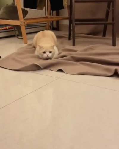 Launch sequence initiated