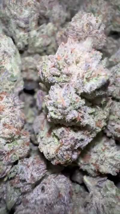 Blue Sherbet 🍧🥶