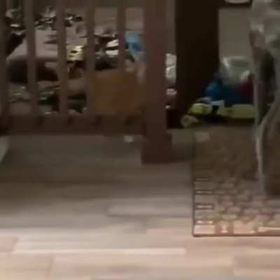 Maybe maybe maybe