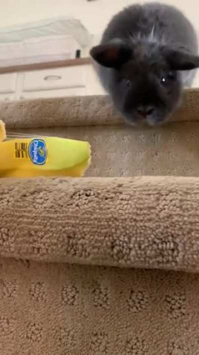 How do I get him to go downstairs?