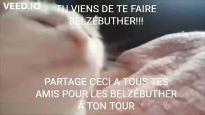 caq majoritaire