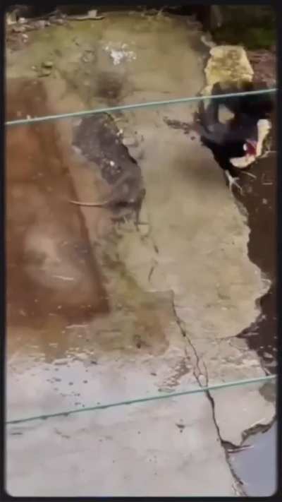 Un Clásico.