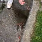 Cursed fingering
