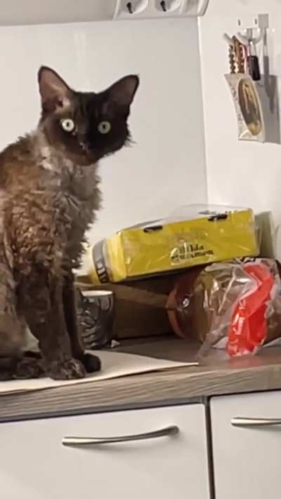 Oh god, he decided the food I gave him isn’t good anymore 