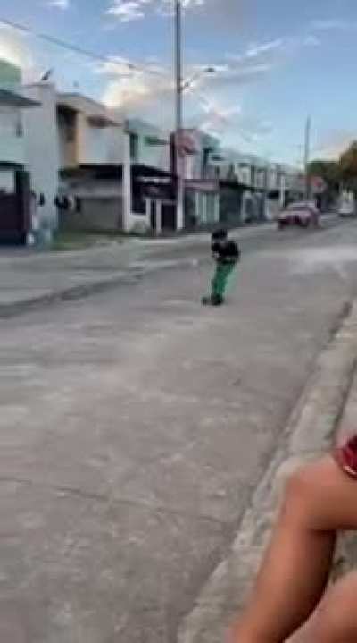 Scooter is cool