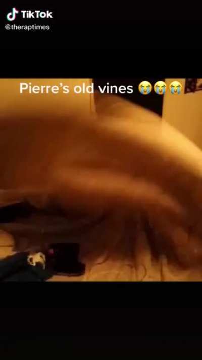Had no idea he made Vines