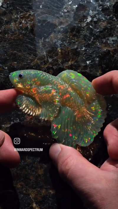 From Rough to Fish! (Not mine)