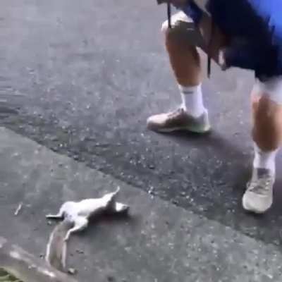 That’s nuts