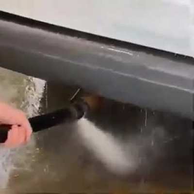 Blursed carwash